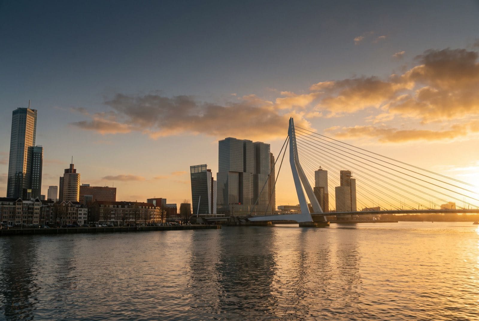 Rotterdam skyline with the Erasmus Bridge over the Maas